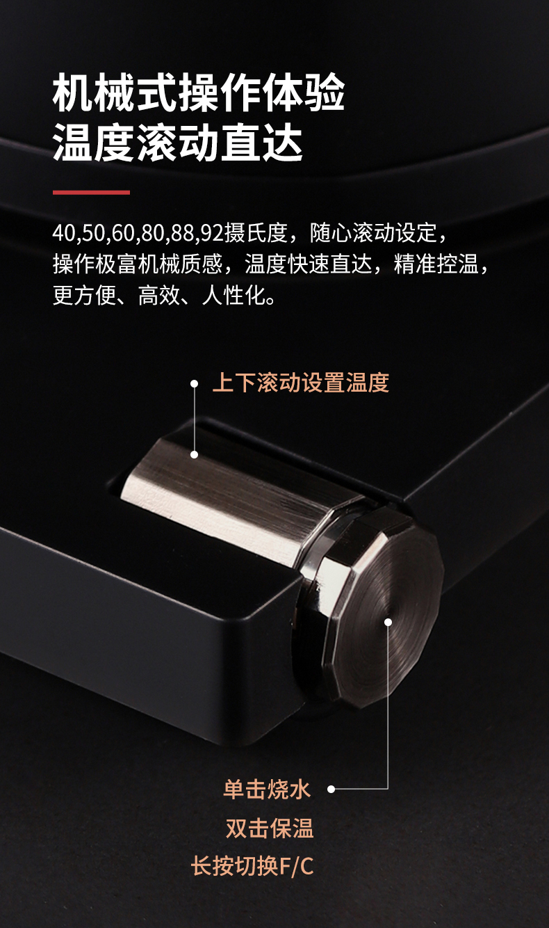 2026unique ZeroHero 600ml Blac - Electric Kettle Gooseneck 评论和价格