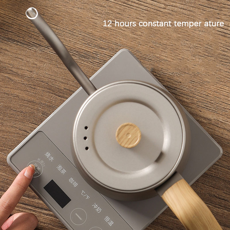 110v 220v Kettle teapot goose  - Electric Kettle Gooseneck 评论和价格