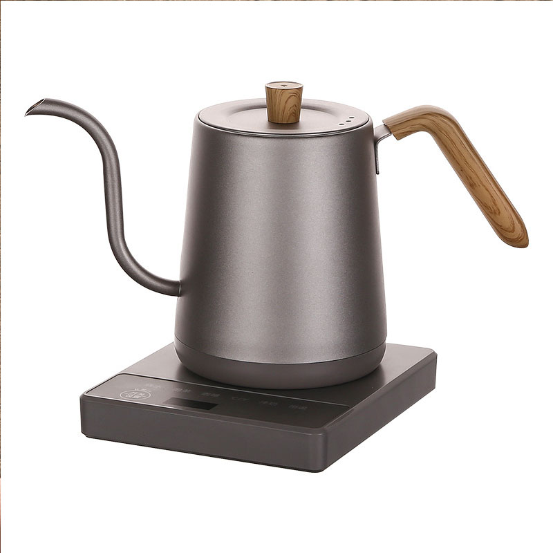 110v 220v Kettle teapot goose  - Electric Kettle Gooseneck 评论和价格