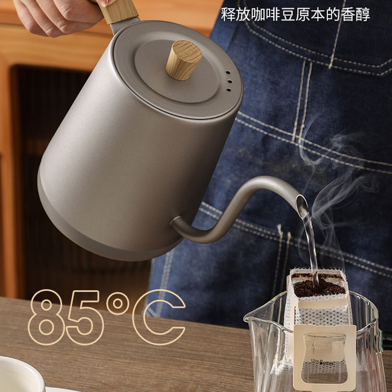 110v 220v Kettle teapot goose  - Electric Kettle Gooseneck 评论和价格