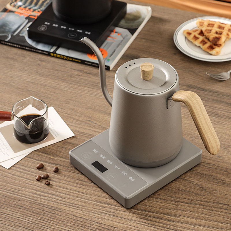 110v 220v Kettle teapot goose  - Electric Kettle Gooseneck 评论和价格